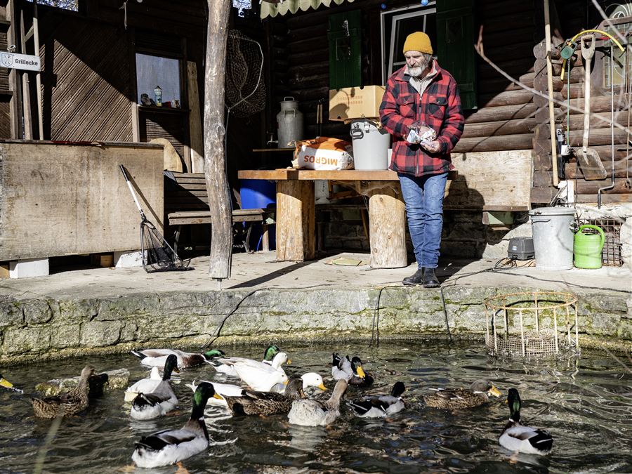 Ein Vereinsmitglied füttert die Enten vor dem Clubhaus