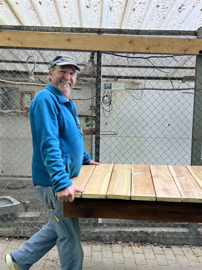 Ein Helfer trägt lachend einen Teil des neuen Holzbrüggli