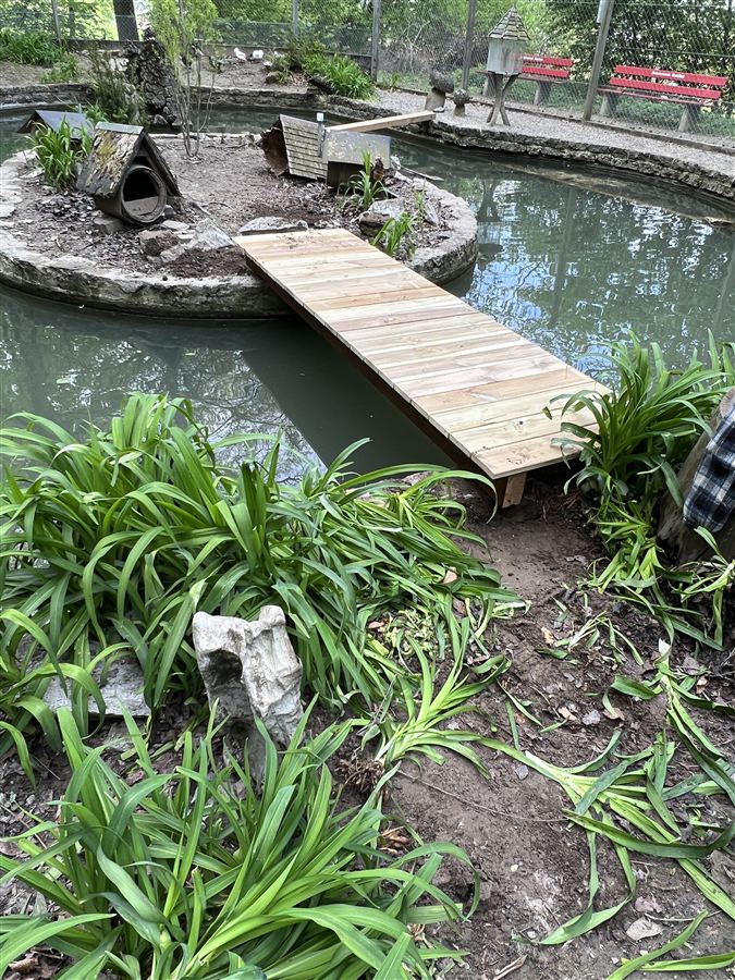 Das neue Holzbrüggli führt über den Weiher