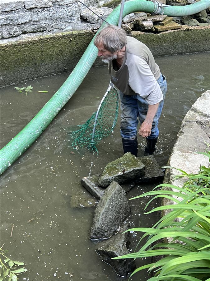 Ein Helfer steht bei der Reinigung im abgelassenen Weiher