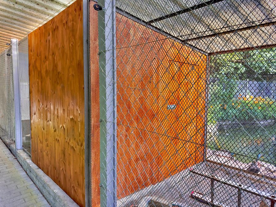 Neue Holzwände der Voliere hinter dem Gitter